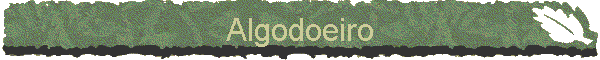 Algodoeiro