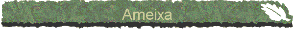 Ameixa