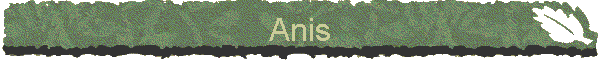 Anis
