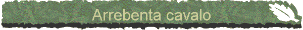 Arrebenta cavalo