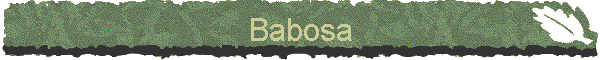 Babosa