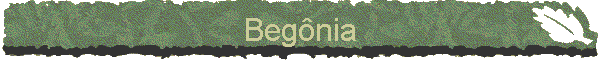 Beg�nia