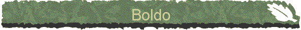 Boldo