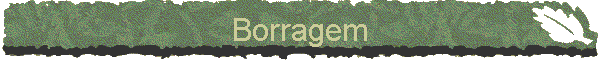 Borragem