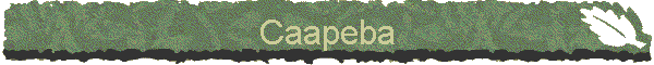 Caapeba