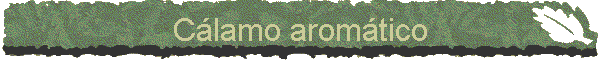 C�lamo arom�tico