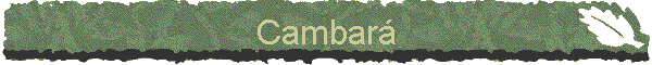 Cambar�