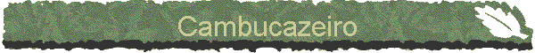 Cambucazeiro