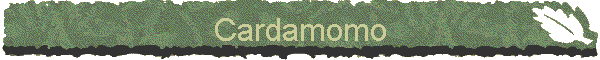 Cardamomo