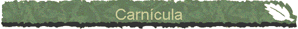Carn�cula