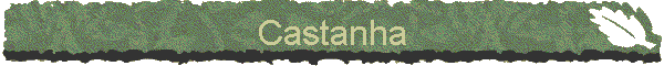 Castanha