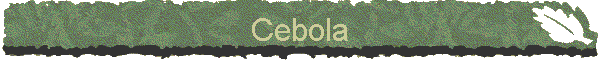 Cebola