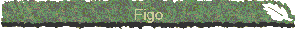 Figo