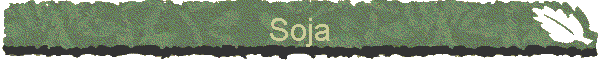Soja