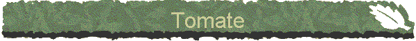 Tomate